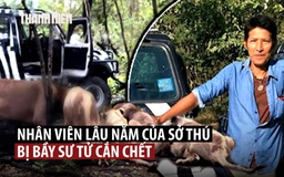 Sư tử cắn chết nhân viên safari Thái Lan ngay trước mặt du khách