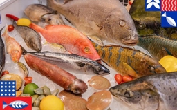 Thiệt hại thế nào nếu nhiều loại hải sản bị cấm nhập vào Mỹ?