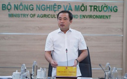 Xuất khẩu gạo Việt ảnh hưởng ra sao khi Philippines, Indonesia tạm ngừng nhập khẩu?