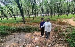 Bắt nghi phạm giao cấu với bé gái 12 tuổi ở Đồng Nai