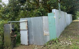 Đồng Tháp: Phát hiện thi thể phân hủy trong vườn sầu riêng