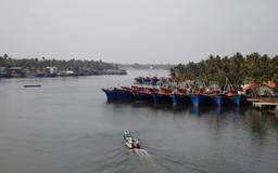 Ấn Độ báo động vì ký sinh trùng 'ăn não' hiếm gặp lan rộng