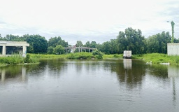 Hàng loạt khu đất công tại Cà Mau sau thu hồi nhiều năm vẫn bỏ trống