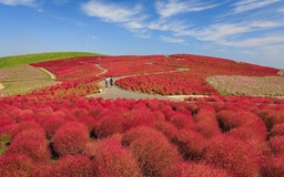 Điểm đến ở Việt Nam vào top ngắm lá mùa thu đẹp nhất châu Á