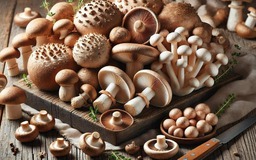 Nấm giúp hạ huyết áp, giảm cholesterol và nguy cơ ung thư