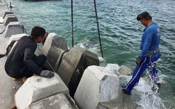 'Gánh' 10 kg chì, thợ lặn ngâm mình hàng giờ để 'hồi sinh' bãi biển Hội An