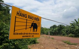 Cấp thiết bảo tồn voi: Đấu trí với voi rừng bằng hàng rào điện