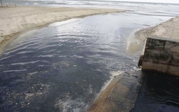 Đà Nẵng kiên quyết xử lý tình trạng nước thải tràn ra biển