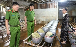 Phát hiện cơ sở dùng chất cấm sản xuất giá đỗ với số lượng lớn