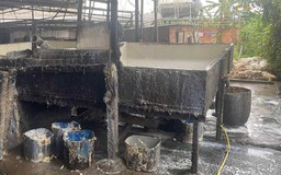 Chế biến mủ cao su không phép gây ô nhiễm