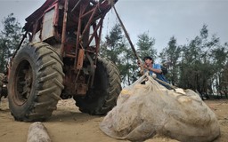 Bão số 10 (Bualoi): Hà Tĩnh cấm biển, sơ tán hơn 6.500 hộ dân