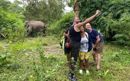 Cấp thiết bảo tồn voi: Du lịch thân thiện với voi