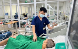 Nguy kịch do sốt mò