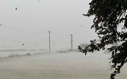 Thường trực Ban Bí thư chỉ đạo ứng phó bão số 10