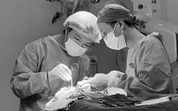 TP.HCM: Người phụ nữ đột quỵ, yếu liệt sau khi ngã quỵ trong nhà vệ sinh