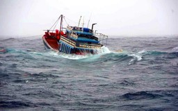 8 ngư dân mất tích, Gia Lai lập sở chỉ huy tìm kiếm