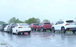 Người dân khu vực bị ảnh hưởng bão số 10 tìm mọi cách bảo vệ ô tô