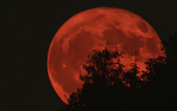7 tỉ người sắp nhìn thấy nguyệt thực: Giải mã chuyện mặt trăng đỏ như máu