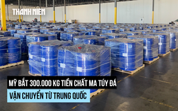 Mỹ nói bắt được lượng tiền chất ma túy lớn 'từ Trung Quốc'