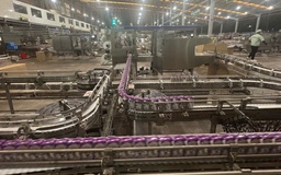 Gia Lai sẽ trở thành 'thiên đường bò sữa' mới?