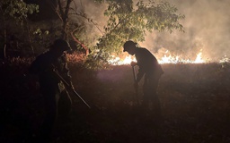 TP.Huế: Phát hiện thi thể chủ vườn tràm trong vụ cháy rừng sản xuất