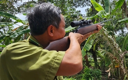 Kiểm lâm TP.HCM bắn gây mê vượn leo trèo trong nhà dân ở xã Tân Nhựt