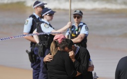 Cá mập trắng cắn chết người ở Úc, chính quyền triển khai UAV giám sát