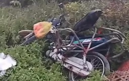 Ngăn chặn hiểm họa