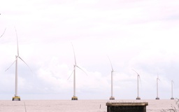 Dự án điện gió nghìn tỉ tại Cà Mau không phát hiện sai phạm sau thanh tra