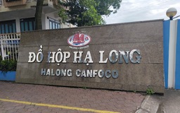 Bắt khẩn cấp Tổng giám đốc Công ty CP Đồ hộp Hạ Long
