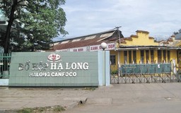 Công ty CP Đồ hộp Hạ Long tạm dừng hoạt động nhà máy 14 ngày