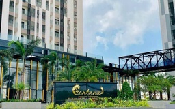 Dầu diesel tràn vào bể chứa nước chung cư Centana