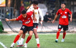 Hào hứng khởi tranh khu vực phía bắc