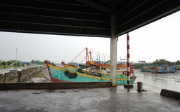 Xử lý nghiêm cán bộ nếu tàu cá không đủ điều kiện vẫn được 'ra khơi'