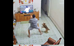 Chú chó 'chiếm sóng' khi nhảy cẫng ăn mừng bàn thắng của Đình Bắc đội U.23 Việt Nam