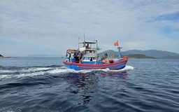 Khánh Hòa: Tàu cá chở 8 ngư dân mất liên lạc 5 ngày trên biển