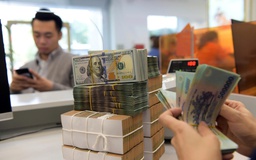 Giá USD hôm nay 15.1.2026: Đô la tự do tăng nhẹ