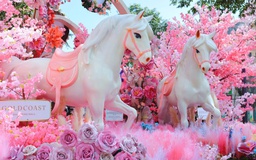 Linh vật ngựa Tết Bính Ngọ gây sốt ở Nha Trang: Đẹp như phim Hàn, ai cũng muốn check-in