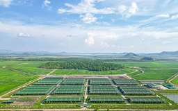 Kinh ngạc với hệ sinh thái nông nghiệp của tỉ phú Trần Bá Dương