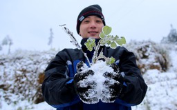 La Nina sắp kết thúc, miền Bắc có thể xuất hiện mưa tuyết trong tháng 2