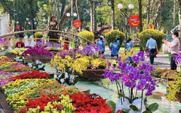 Hội hoa xuân, chợ hoa Tết Bính Ngọ ở TP.HCM có gì đặc biệt?
