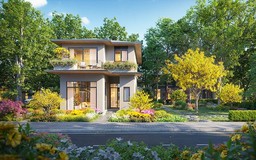 Rừng Mai - Mảnh ghép đầu tiên mở ra Mùa Lễ Hội tại Eco Retreat