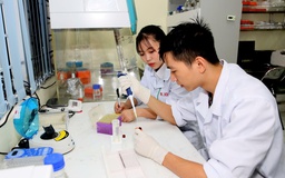 Hiện thực hóa mục tiêu tăng trưởng cao: Bài toán năng lực và phát triển bền vững