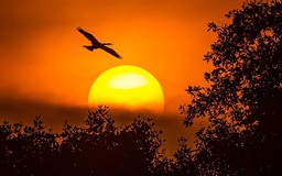 Cảnh báo bão mặt trời liên tục tấn công: Hôm nay 22.1, Việt Nam có bị ảnh hưởng?