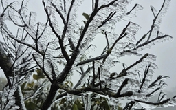 Băng giá trên đỉnh Mẫu Sơn hút khách du lịch check-in