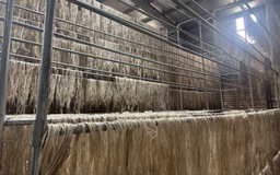 Tỉ phú Trần Bá Dương biến chuối phế thải thành sợi vải như thế nào?