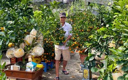 Nhà vườn hoa kiểng phập phồng vì thời tiết