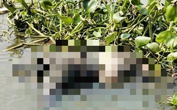 Sau cuộc gọi với bố, nam thanh niên ở TP.HCM được phát hiện tử vong dưới sông