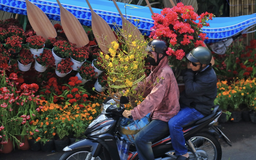 Lập xuân 2026 sắp đến rồi! Lịch âm, lịch vạn niên hôm nay 27.1 có đặc biệt?