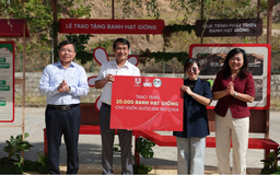 OMO viết chương tiếp của hành trình 1 triệu cây: Từ Núi Chúa đến khắp Việt Nam